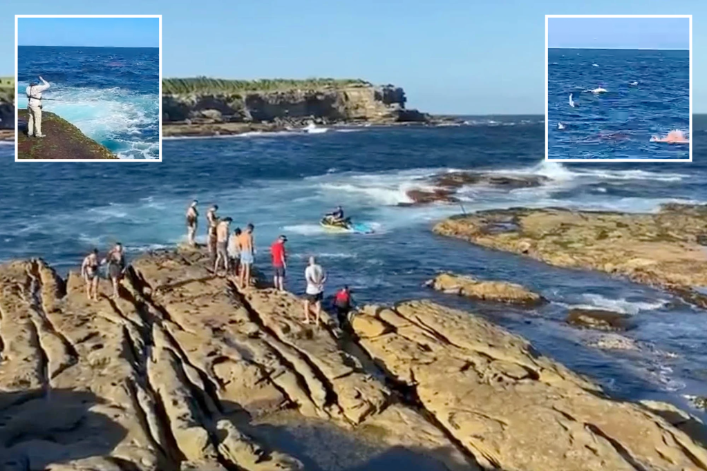 L'attacco mortale degli squali in Australia costringe le spiagge di Sydney a chiudere