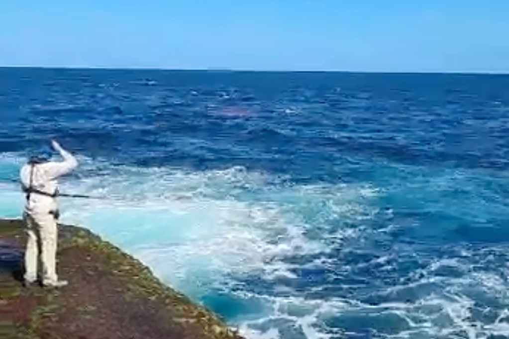 Un pescatore osserva un nuotatore mangiato a morte da un grande squalo bianco di 4,5 metri di altezza a Little Bay Beach a Sydney.