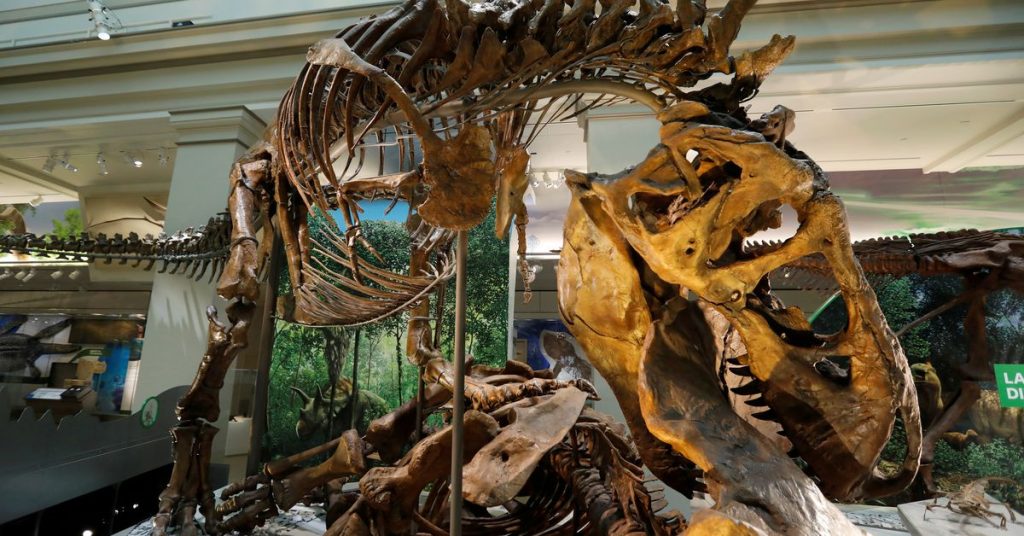 Gli scienziati suggeriscono che il tirannosauro avesse tre specie, non solo "Rex"