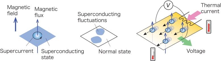 Due tipi di fluttuazioni nei superconduttori