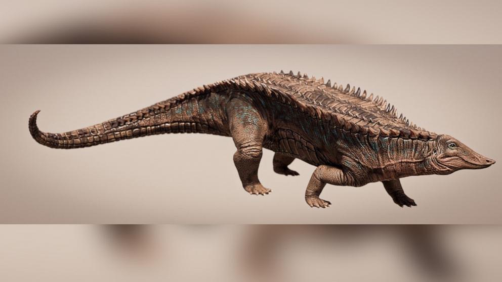 È stato identificato un antenato del coccodrillo che ha 215 milioni di anni ed è antecedente ai dinosauri