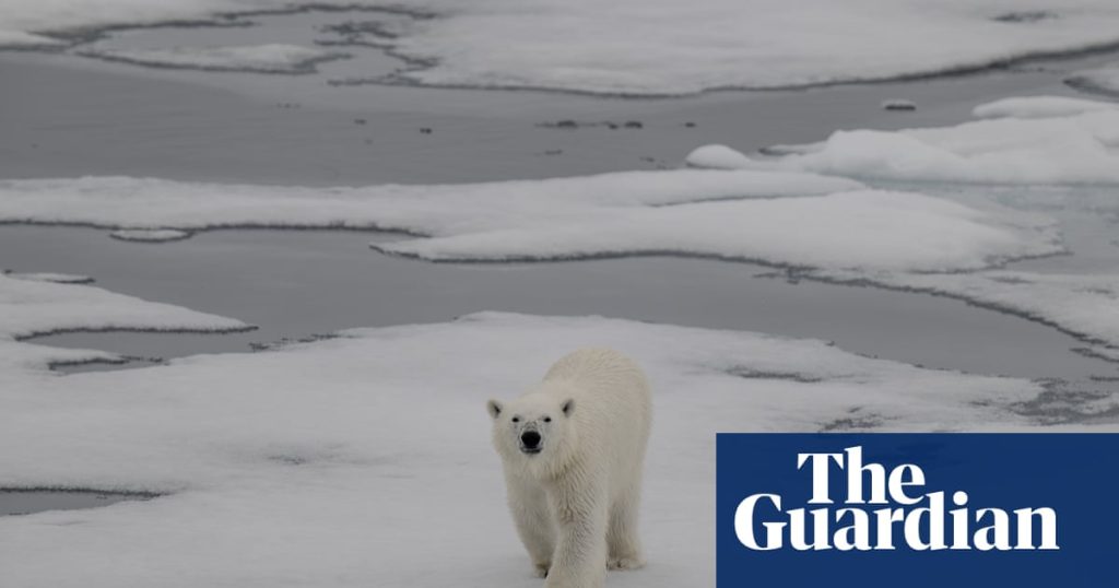 Gli scienziati affermano che un’estate senza ghiacci nell’Artico è possibile entro il prossimo decennio  Polo Nord