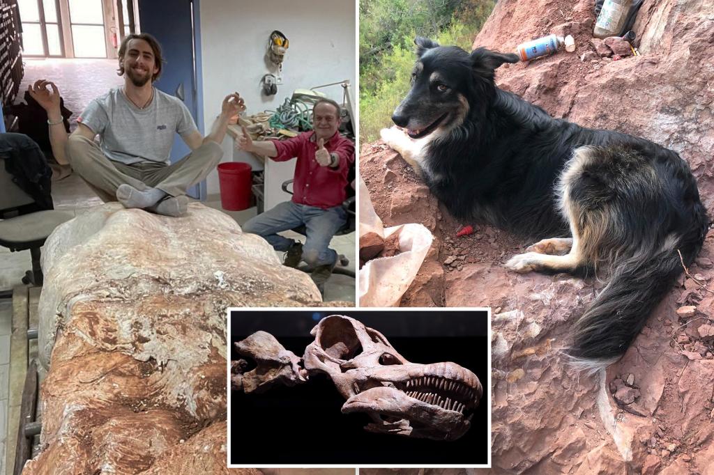 Un francese ha trovato un fossile di dinosauro mentre portava a spasso il suo cane