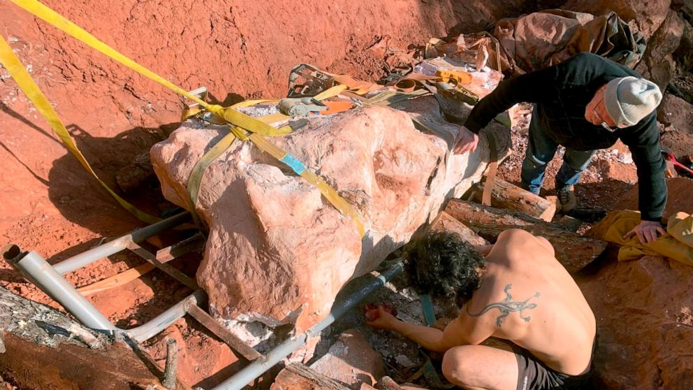 Uno scheletro di dinosauro di 70 milioni di anni è stato scoperto da un uomo che portava a spasso il suo cane