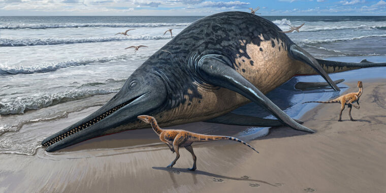 I più grandi rettili marini mai trovati possono competere con le dimensioni delle balene blu