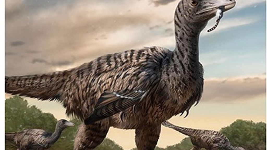 Le impronte in Cina indicano un nuovo megaraptor che vagava con i dinosauri